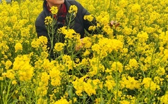 免费可以看污动画软件